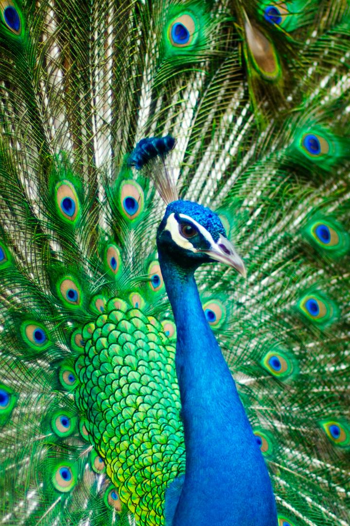 Заповедные места (zapovednye-mesta) Документальный сериал