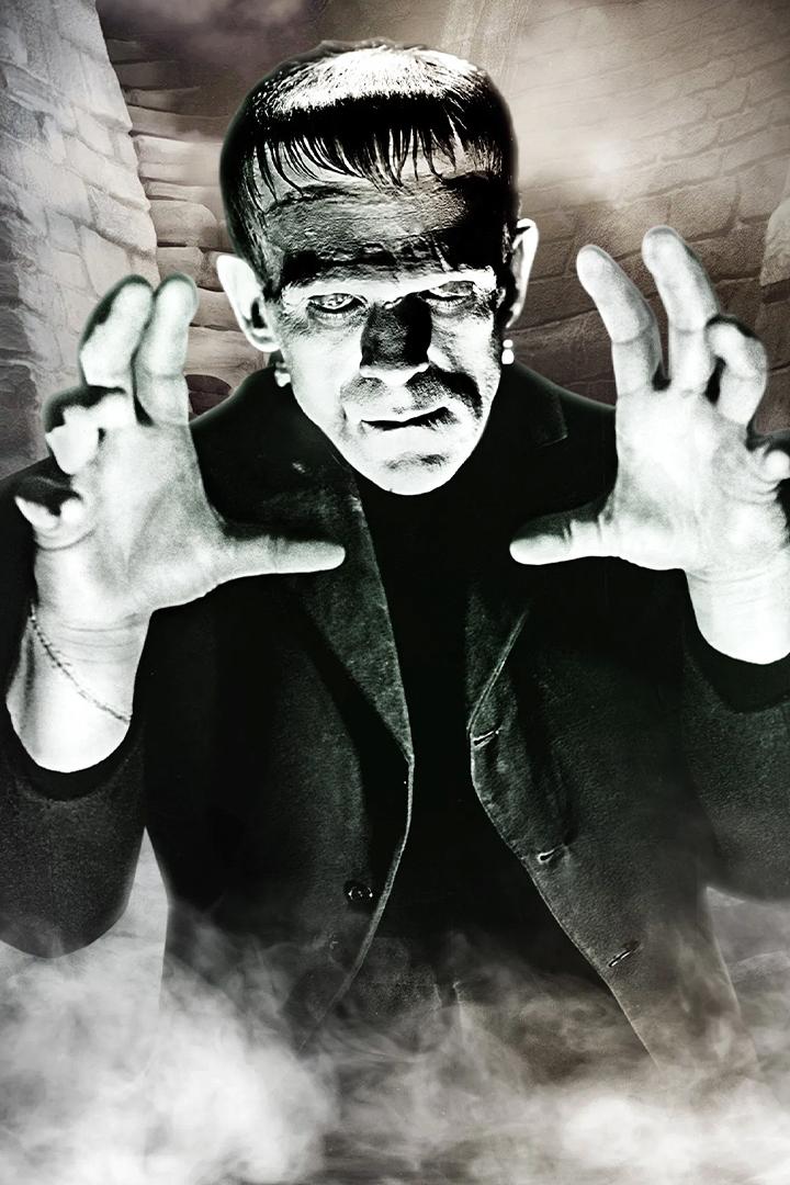 Франкенштейн (frankenshtejn) Фильм 1931