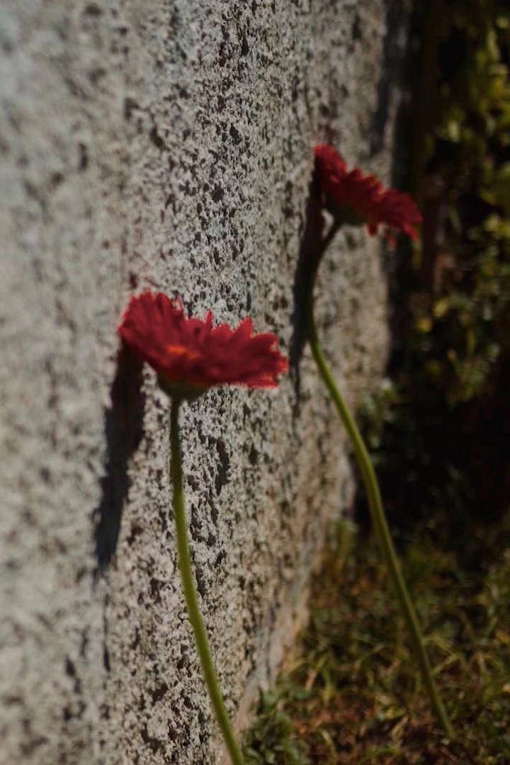 Их называли русскими. Самый далёкий фронт (ih-nazyvali-russkimi-samyj-dalekij-front) Документальный фильм