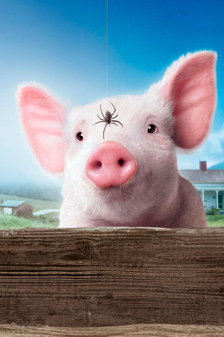 Паутина Шарлотты (pautina-sharlotty) Фильм 2006