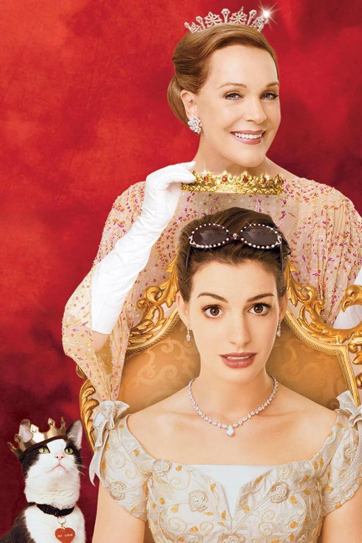 Principe azzurro cercasi (principe-azzurro-cercasi) Фильм 2004