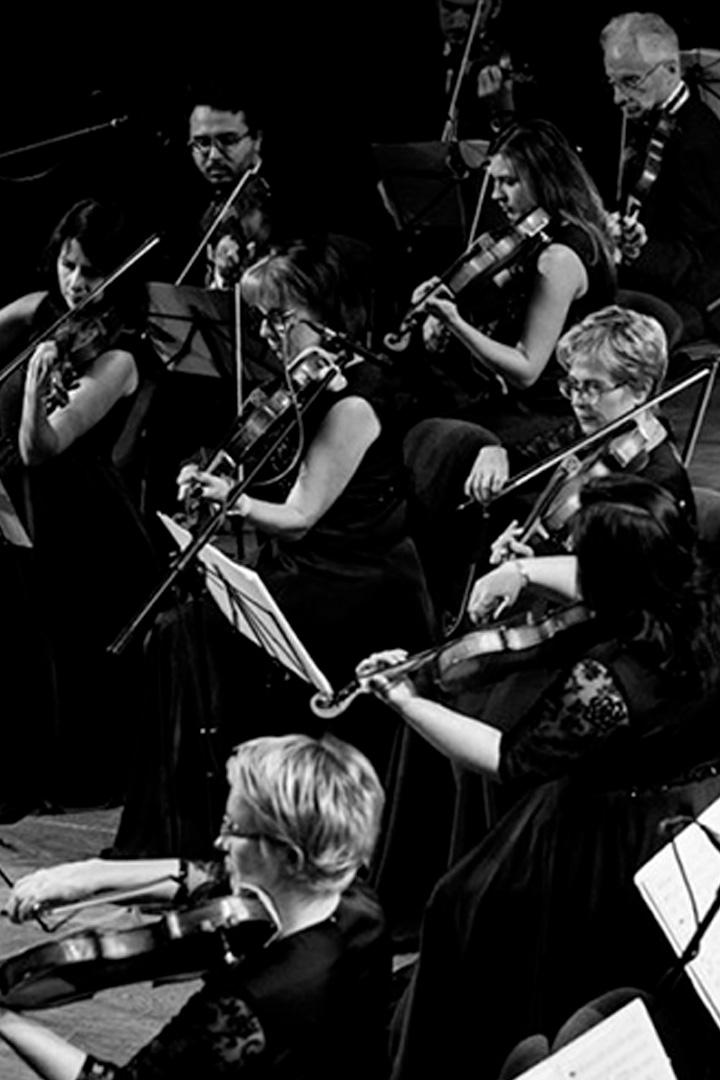 IV Фестиваль им. С.К. Горковенко. Концерт-открытие «Шостакович. Симфония кино» (iv-festival-im-sk-gorkovenko-kontsert-otkrytie-shostakovich-simfonija-kino) Музыка