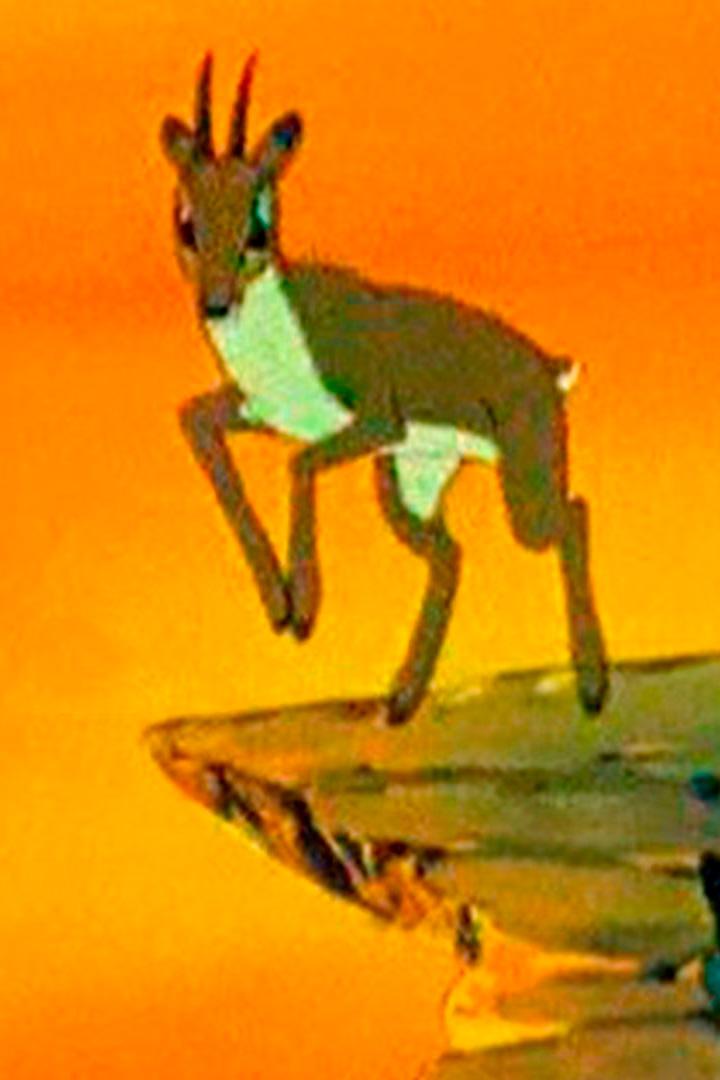 Маленький Шего (malenkij-shego) Мультфильм 1956