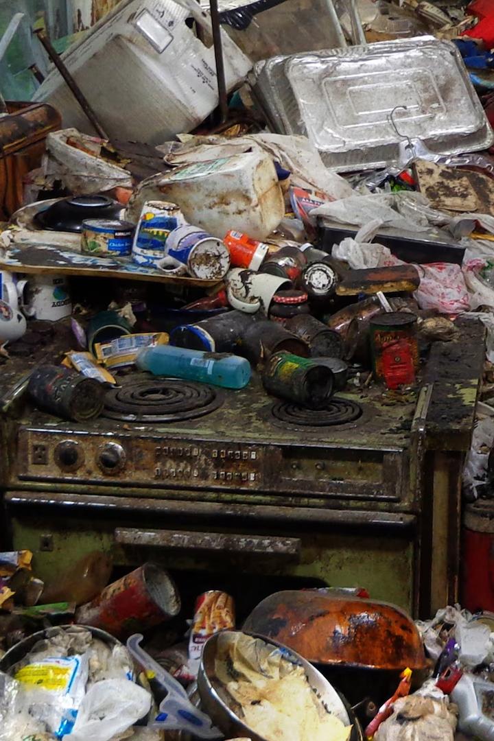 В плену ненужных вещей (v-plenu-nenuzhnyh-veschej) Реалити-шоу