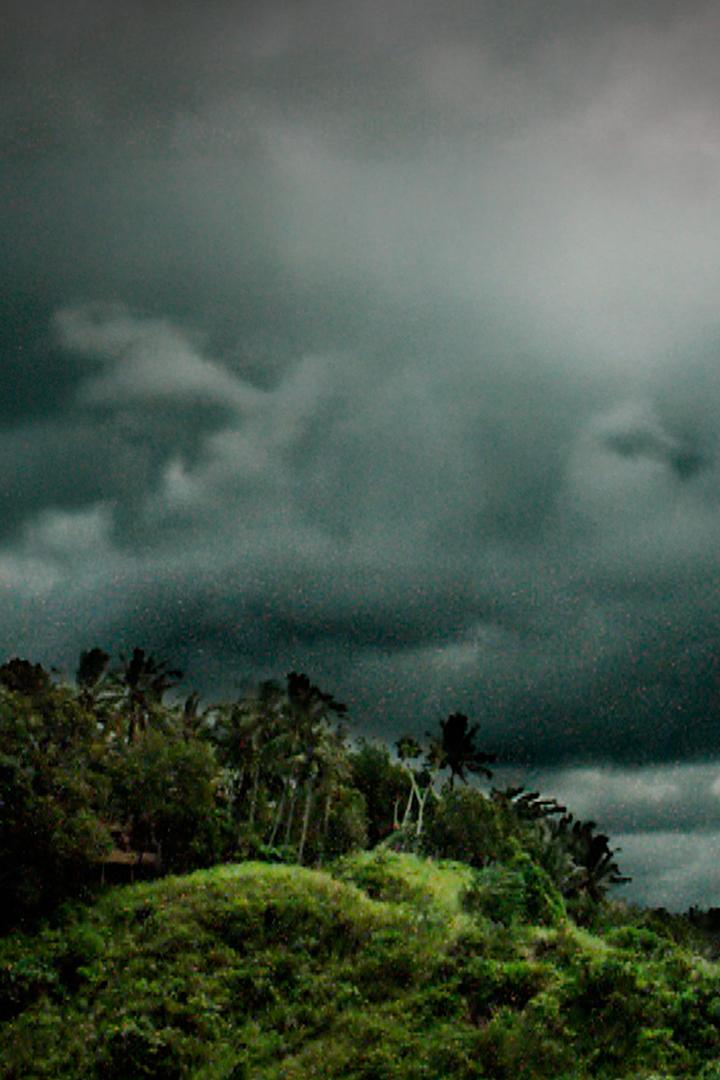 Самые опасные животные (samye-opasnye-zhivotnye) Документальный сериал