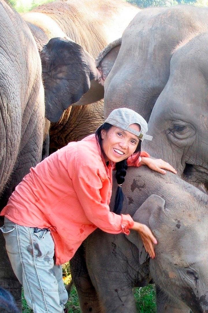 Экзотические питомцы (ekzoticheskie-pitomtsy) Познавательное