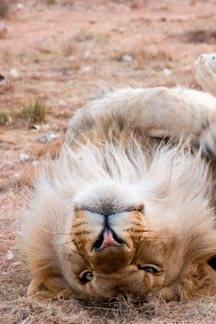 Круговорот жизни (krugovorot-zhizni) Познавательное