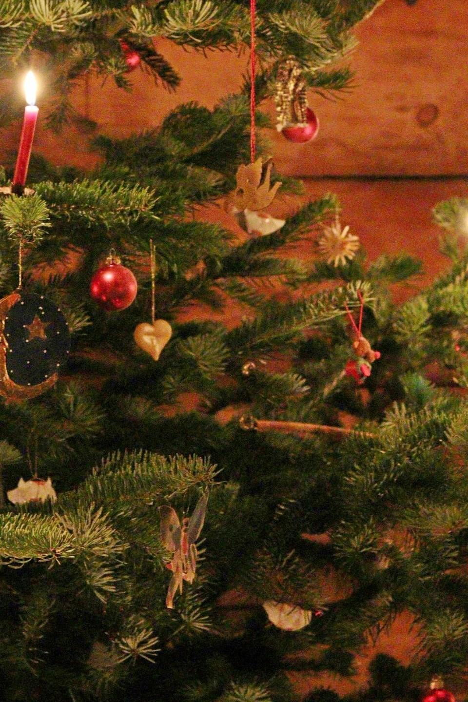 Республиканская новогодняя елка (respublikanskaja-novogodnjaja-elka) Досуг, хобби