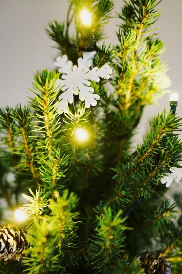 Ёлка Главы Республики Саха (Якутия) (elka-glavy-respubliki-saha-jakutija) Другое