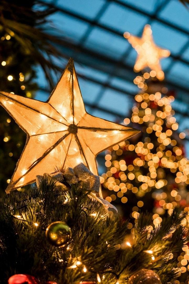 Новый год вместе с ТНВ! (novyj-god-vmeste-s-tnv) ТВ-шоу