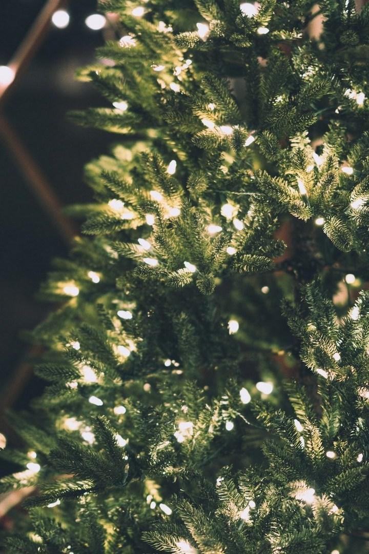 Жаңы жылдык «Көгүлтүр от» (zhay-zhyldyk-kgltr-ot) ТВ-шоу