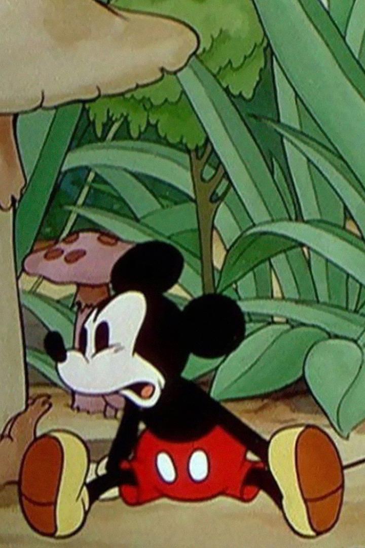 В саду у Микки (v-sadu-u-mikki) Мультфильм 1935