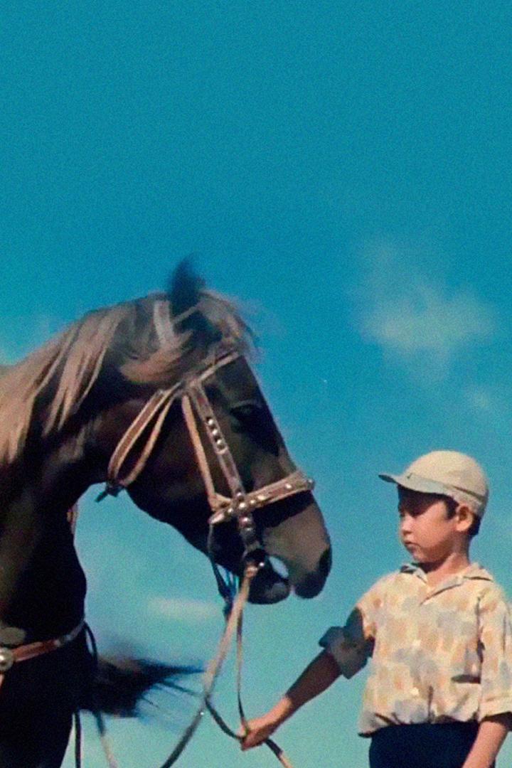 Шок и Шер (shok-i-sher) Фильм 1971