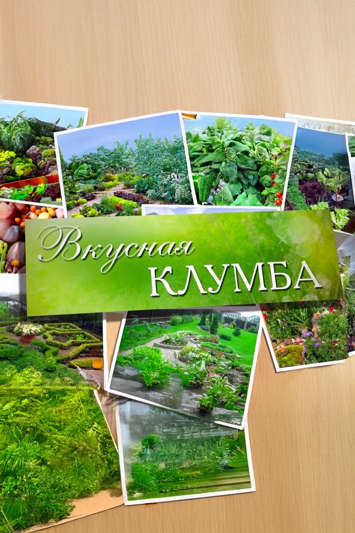 Вкусная клумба (vkusnaja-klumba) Досуг, хобби