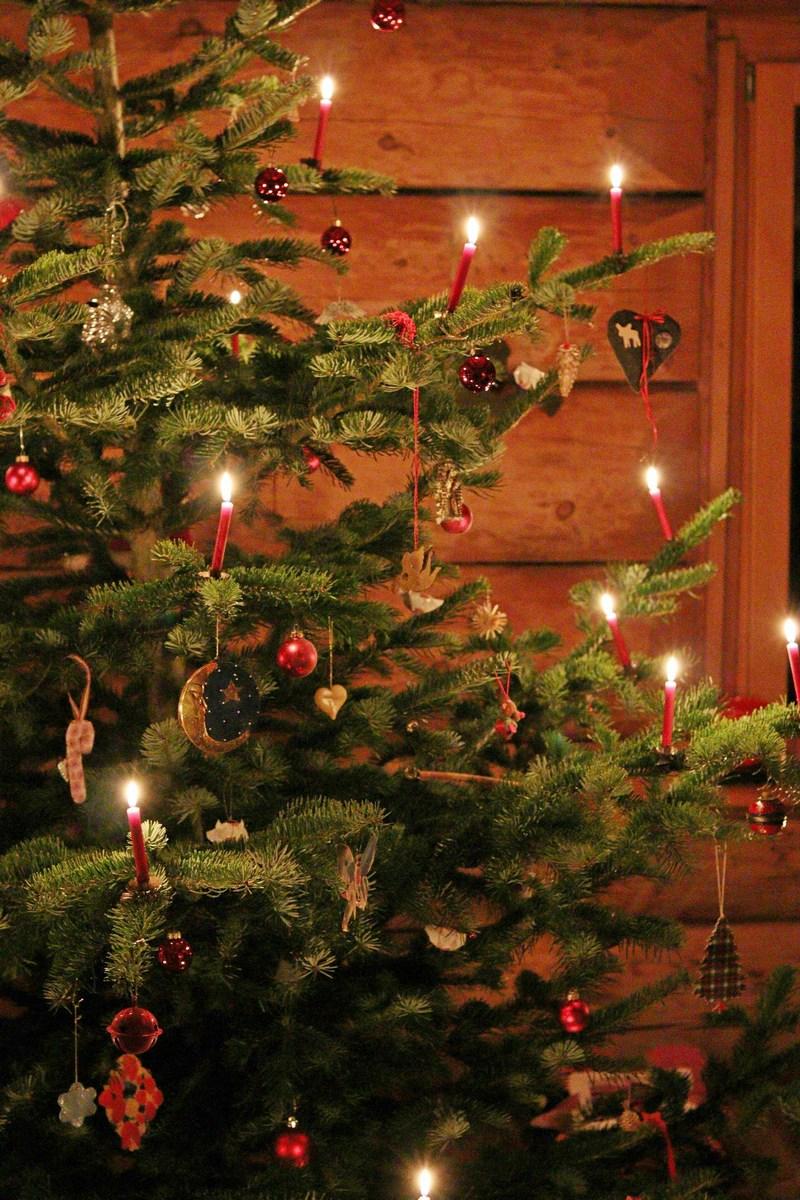 В новый 2026! (v-novyj-2026) ТВ-шоу