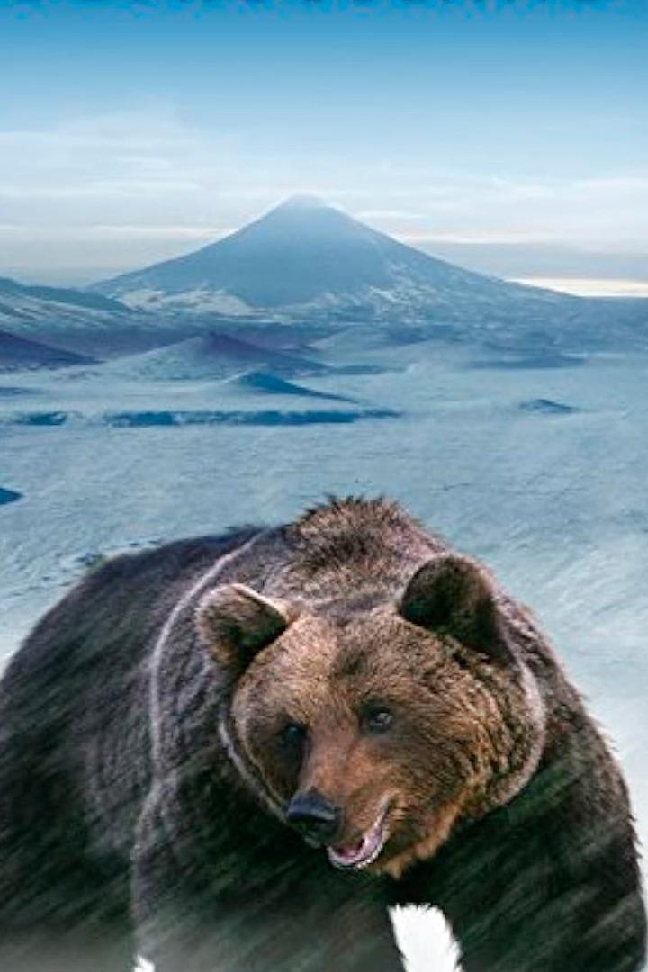 Дикая природа России (dikaja-priroda-rossii) Документальный сериал