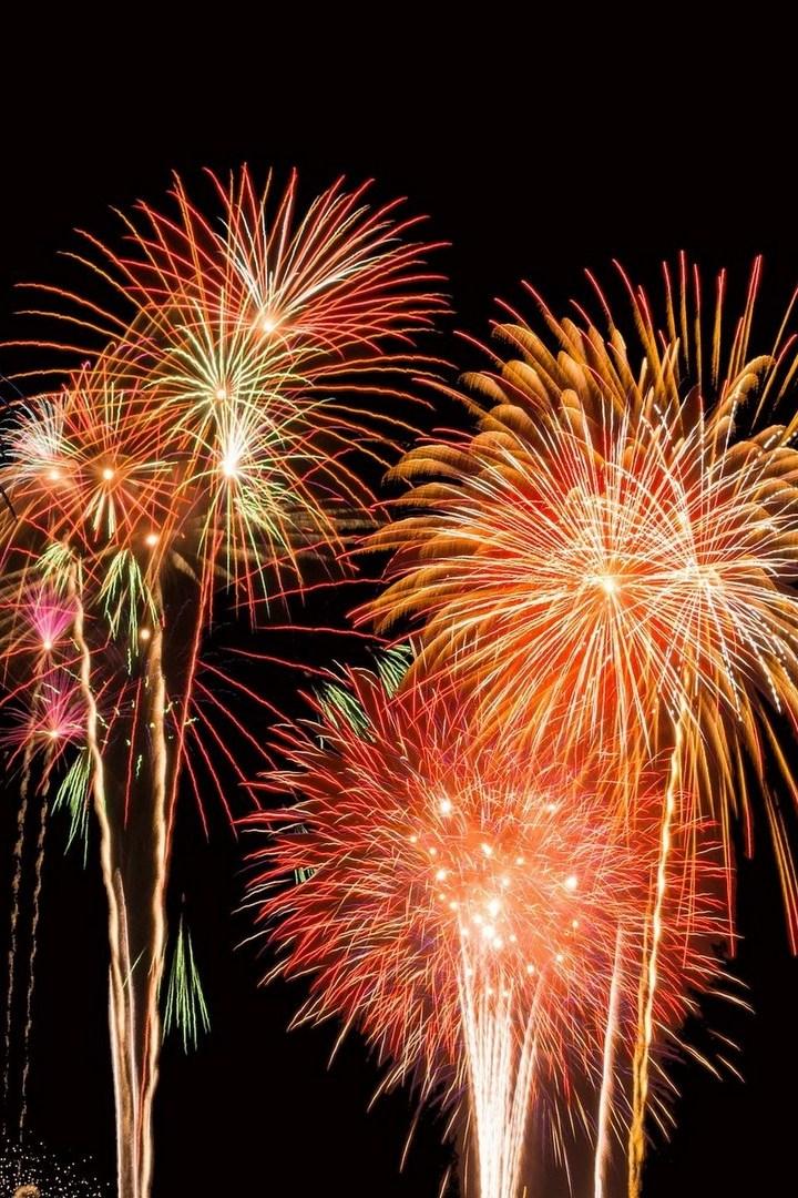 Новогоднее поздравление петербуржцев (novogodnee-pozdravlenie-peterburzhtsev) Досуг, хобби