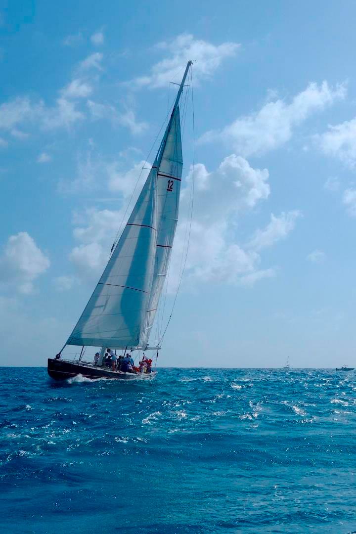 Путь к Олимпиаде (put-k-olimpiade) Досуг, хобби