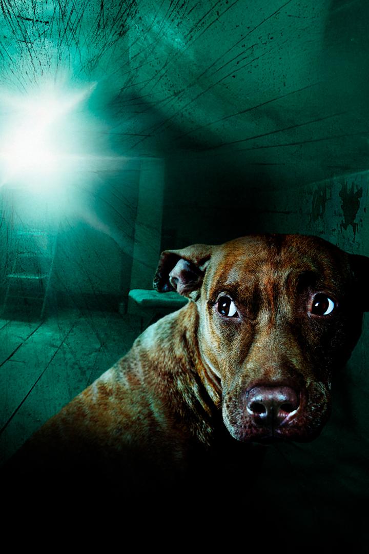 Наваждение (navazhdenie) Документальный сериал