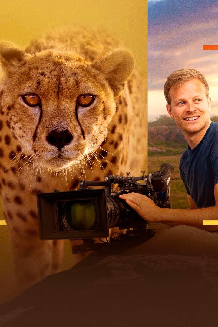 Гепарды: лицом к лицу с Берти Грегори (gepardy-litsom-k-litsu-s-berti-gregori) Документальный фильм