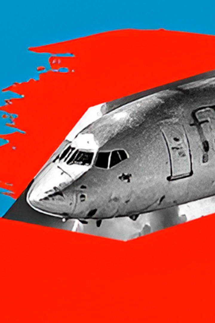 Авиакатастрофа в Ростове-на-Дону 19 марта 2016 года. Боинг-737 Флай Дубай (aviakatastrofa-v-rostove-na-donu-19-marta-2016-goda-boing-737-flaj-dubaj) Документальный фильм