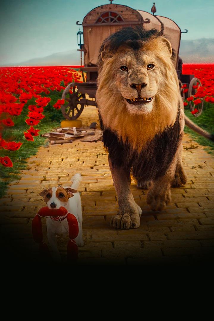 Сон царя зверей (son-tsarja-zverej) Фильм 2025