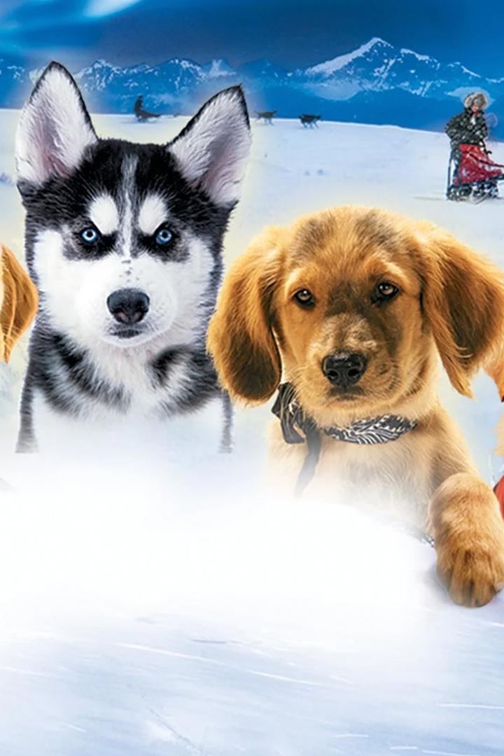 Снежная пятёрка (snezhnaja-pjaterka) Фильм 2008