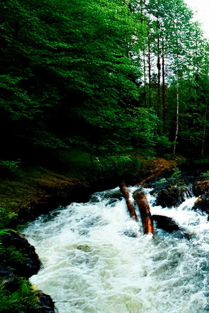 Здравствуй, Карелия (zdravstvuj-karelija) Познавательное