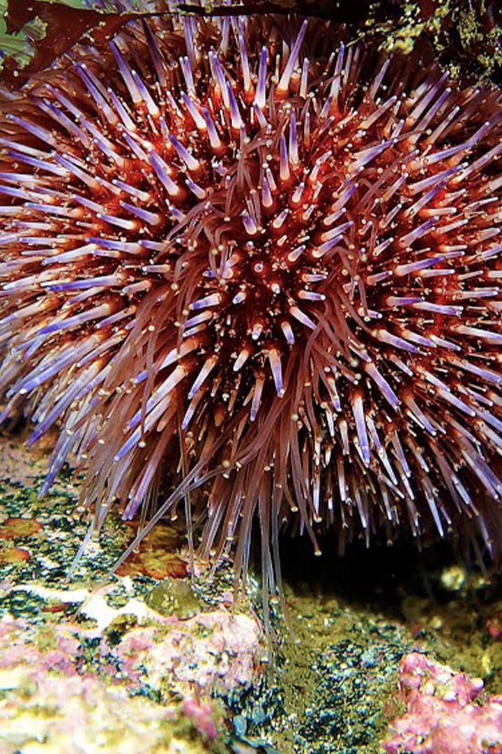 Мир согретого холода (mir-sogretogo-holoda) Документальный фильм