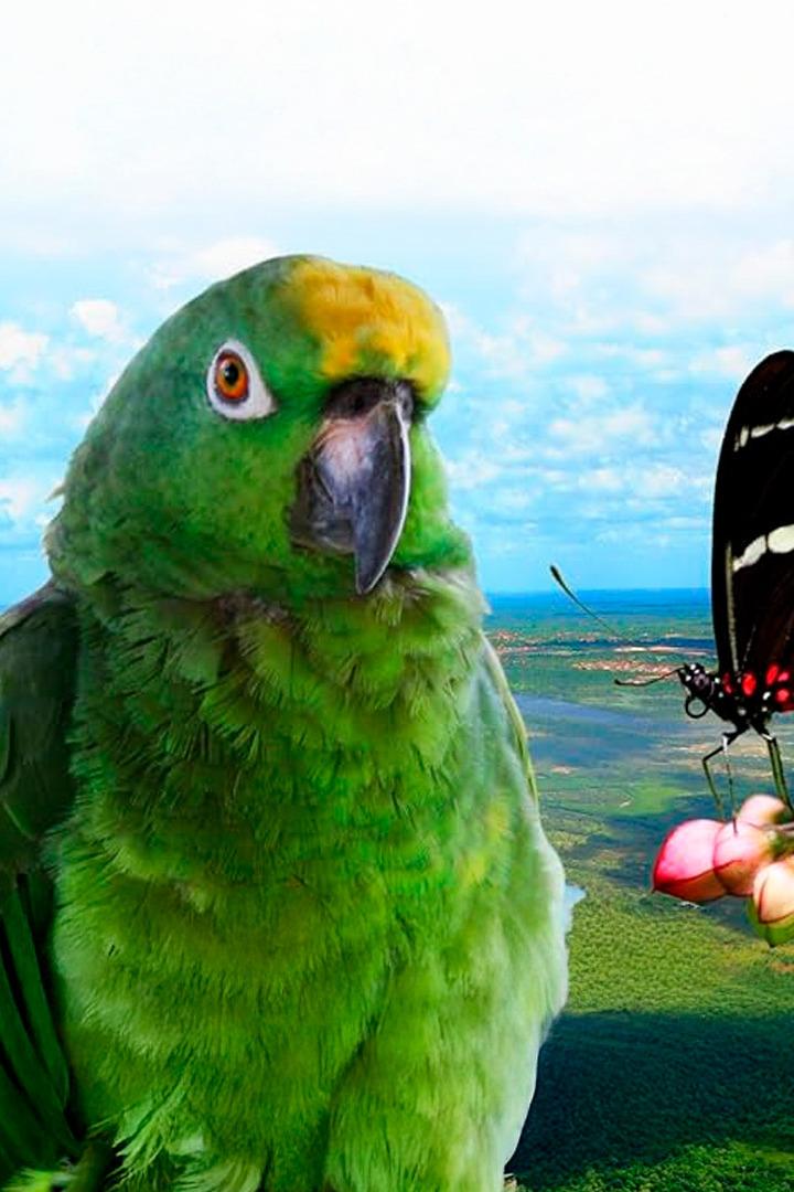 Обаятельная Амазонка 3D (obajatelnaja-amazonka-3d) Документальный фильм