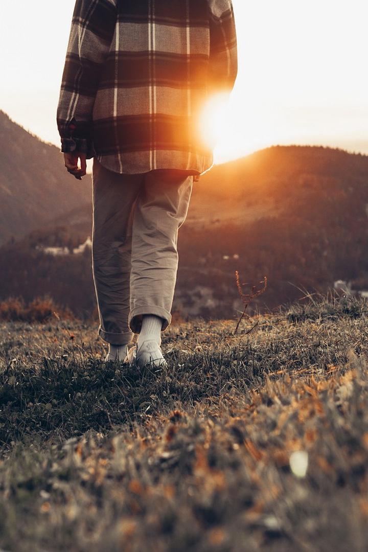 კონსულტაცია ვეტერინართან Досуг, хобби