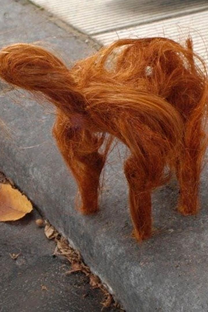 Стрижка (strizhka) Мультфильм 2010