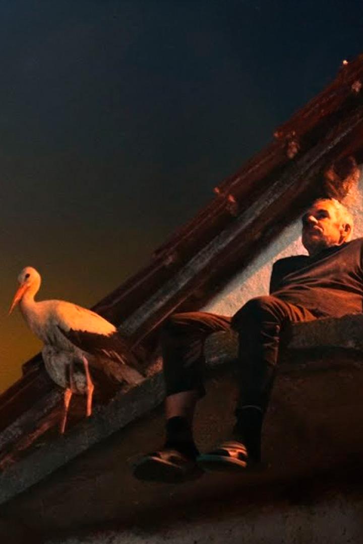 Сказание о Сильяне (skazanie-o-siljane) Фильм 2025