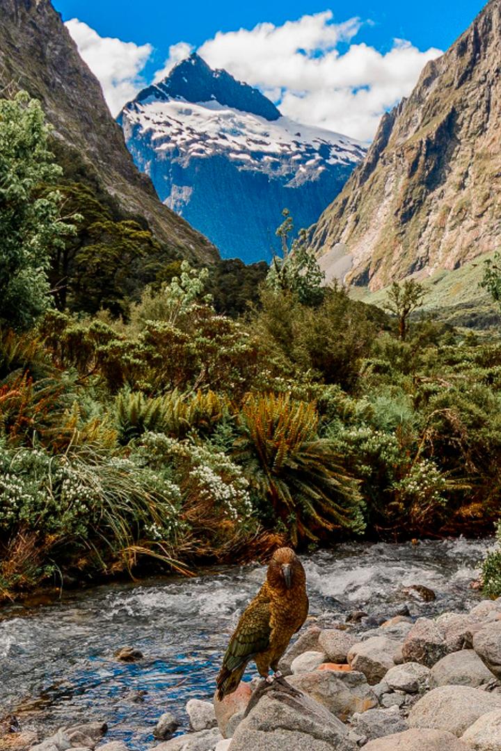 Магия природы (magija-prirody) Документальный сериал