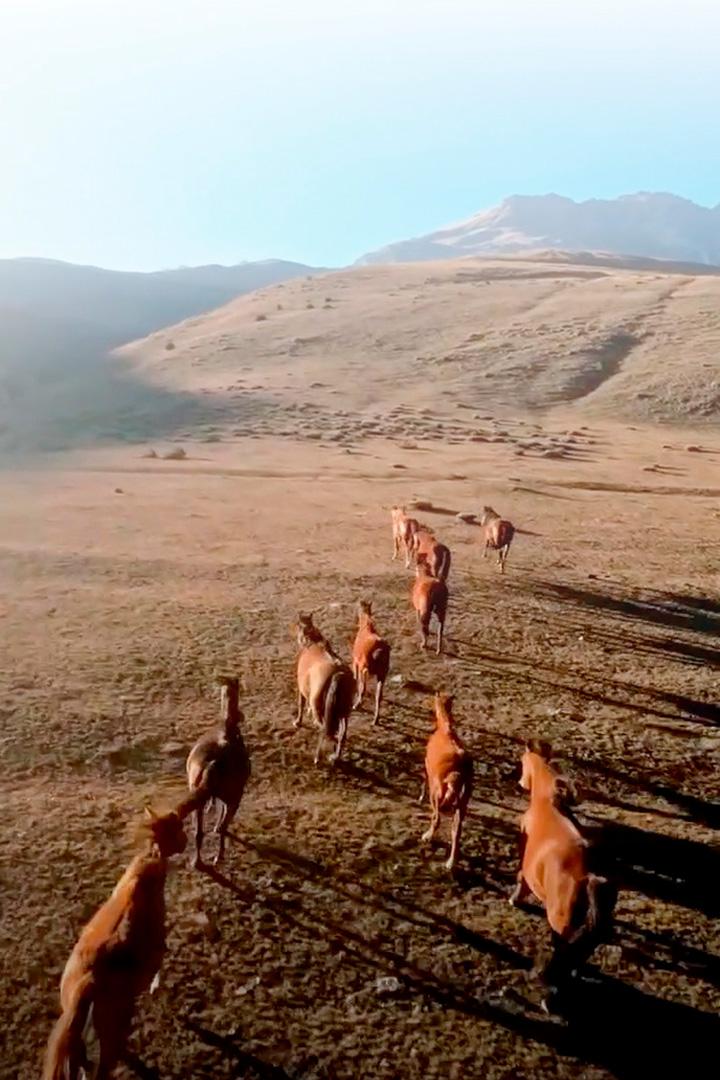 Inland Visions (inland-visions) Новости