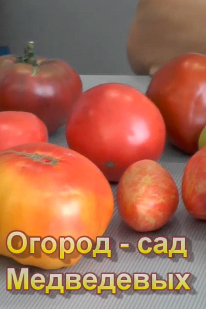 Сад Медведевых (sad-medvedevyh) Досуг, хобби