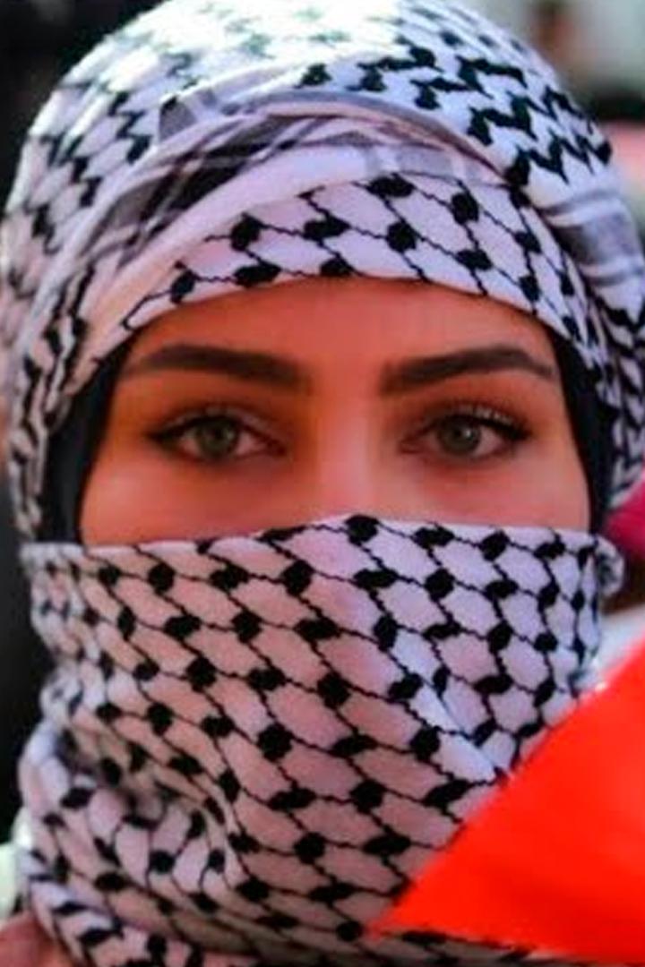 Такой Ирак вы ещё не видели! (takoj-irak-vy-esche-ne-videli) Досуг, хобби