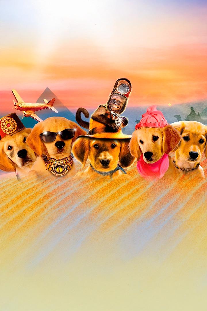 Пятёрка кладоискателей (pjaterka-kladoiskatelej) Фильм 2012