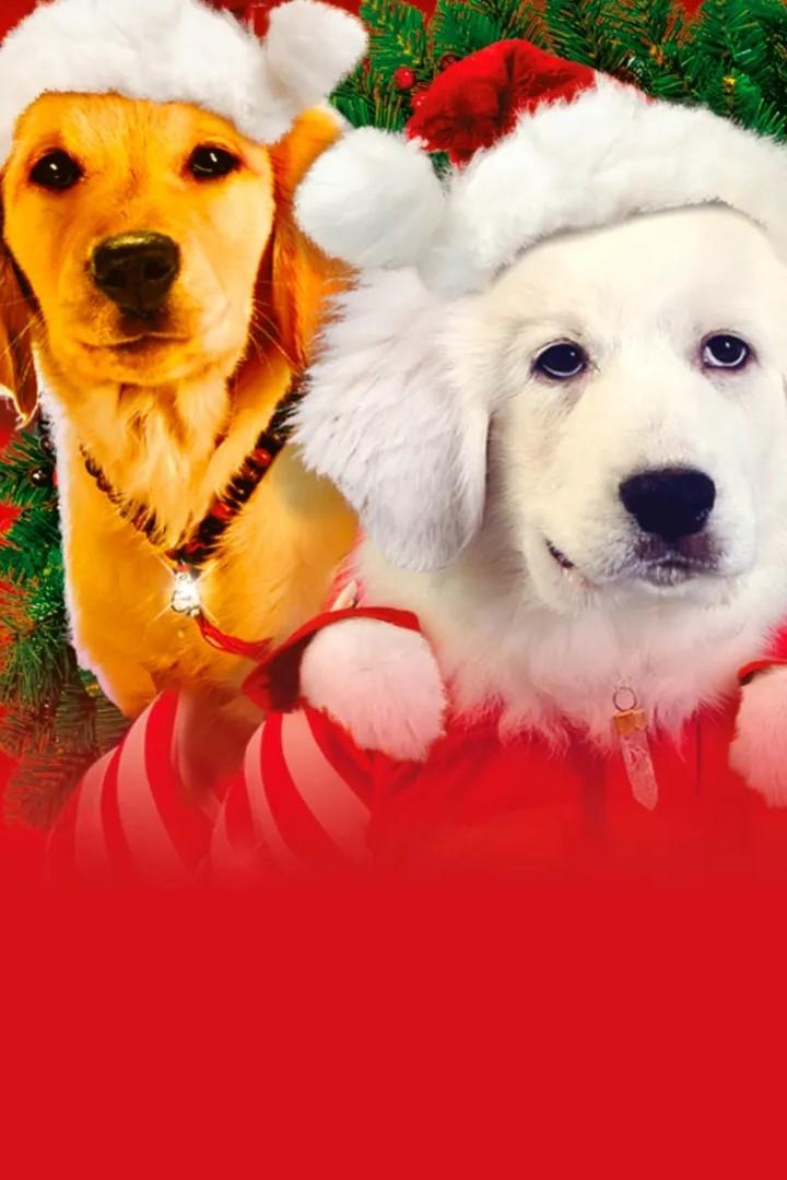 Рождественская пятёрка (rozhdestvenskaja-pjaterka) Фильм 2009