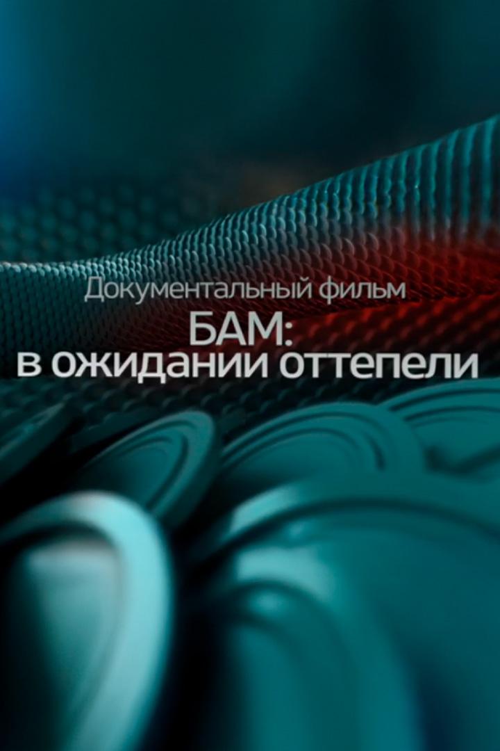 БАМ: в ожидании оттепели (bam-v-ozhidanii-ottepeli) Документальный фильм
