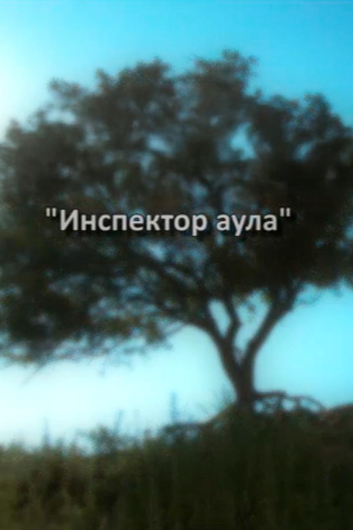 Инспектор Аула (inspektor-aula) Сериал 2013