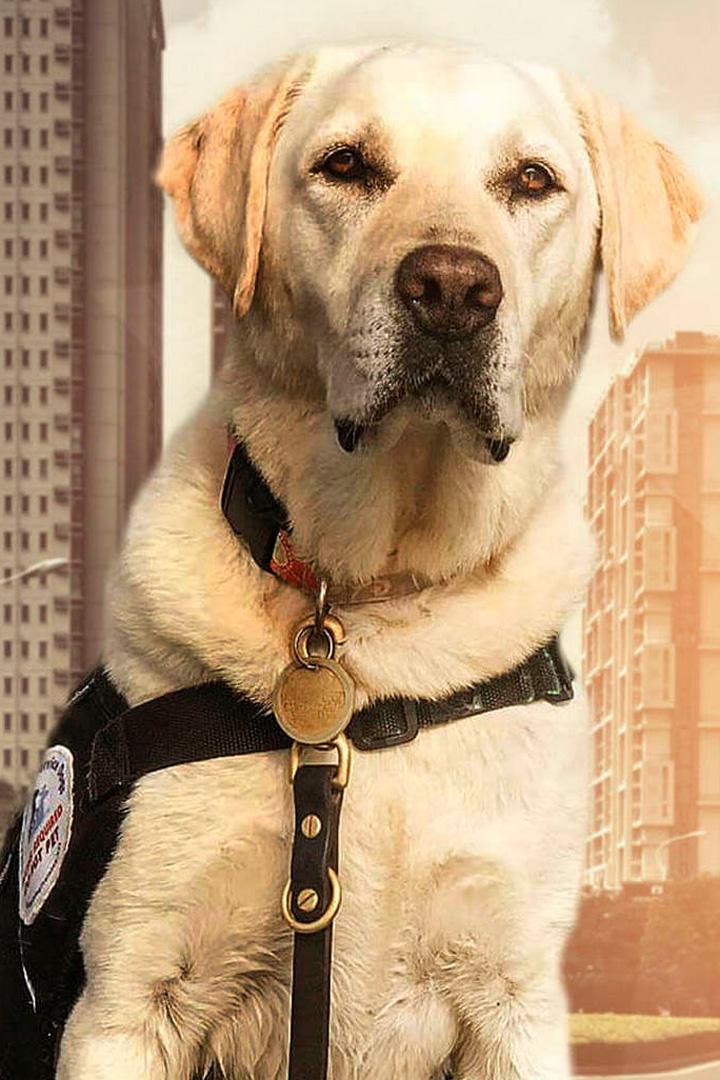 Второй шанс (vtoroj-shans) Познавательное