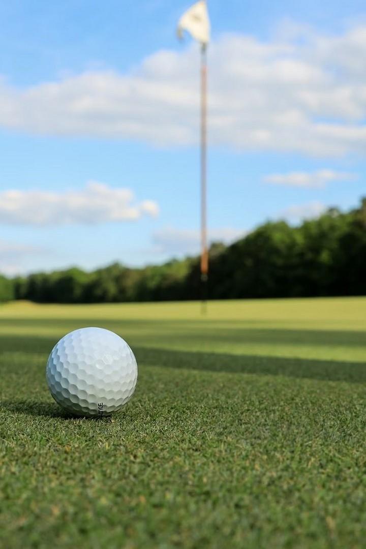 Discovery golf (discovery-golf) Досуг, хобби