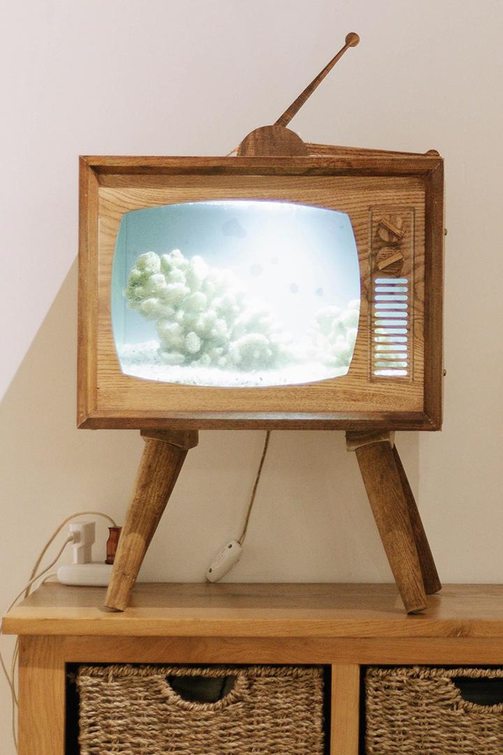 Дагестан (dagestan) Досуг, хобби