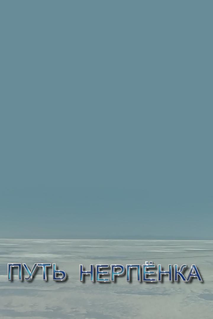 Путь нерпёнка (put-nerpenka) Документальный фильм