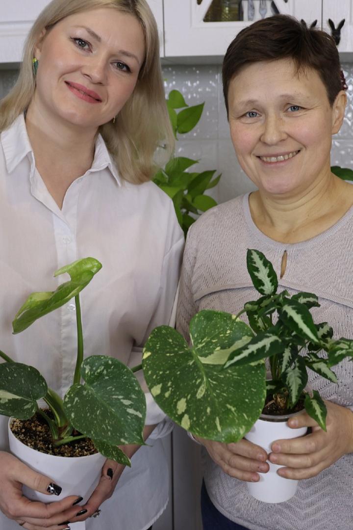 Это еще цветочки (eto-esche-tsvetochki) Досуг, хобби