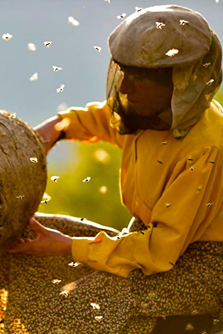 Страна мёда (strana-meda) Документальный фильм