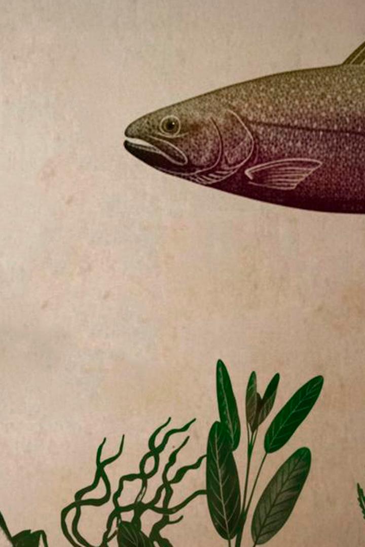 Fisch ahoi! Das Meer braucht eine Pause (fisch-ahoi-das-meer-braucht-eine-pause) Документальный сериал