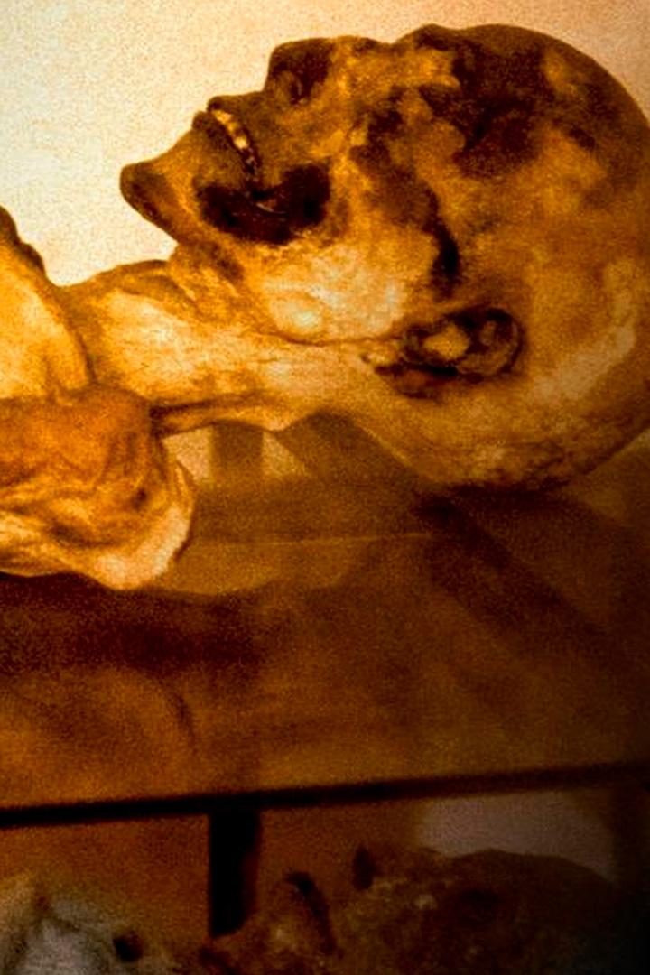 Egyptian Mummies – The Great Imposture (egyptian-mummies-the-great-imposture) Документальный фильм