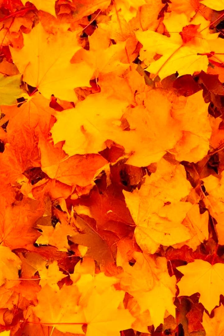 Осенняя история (osennjaja-istorija) Фильм 1979